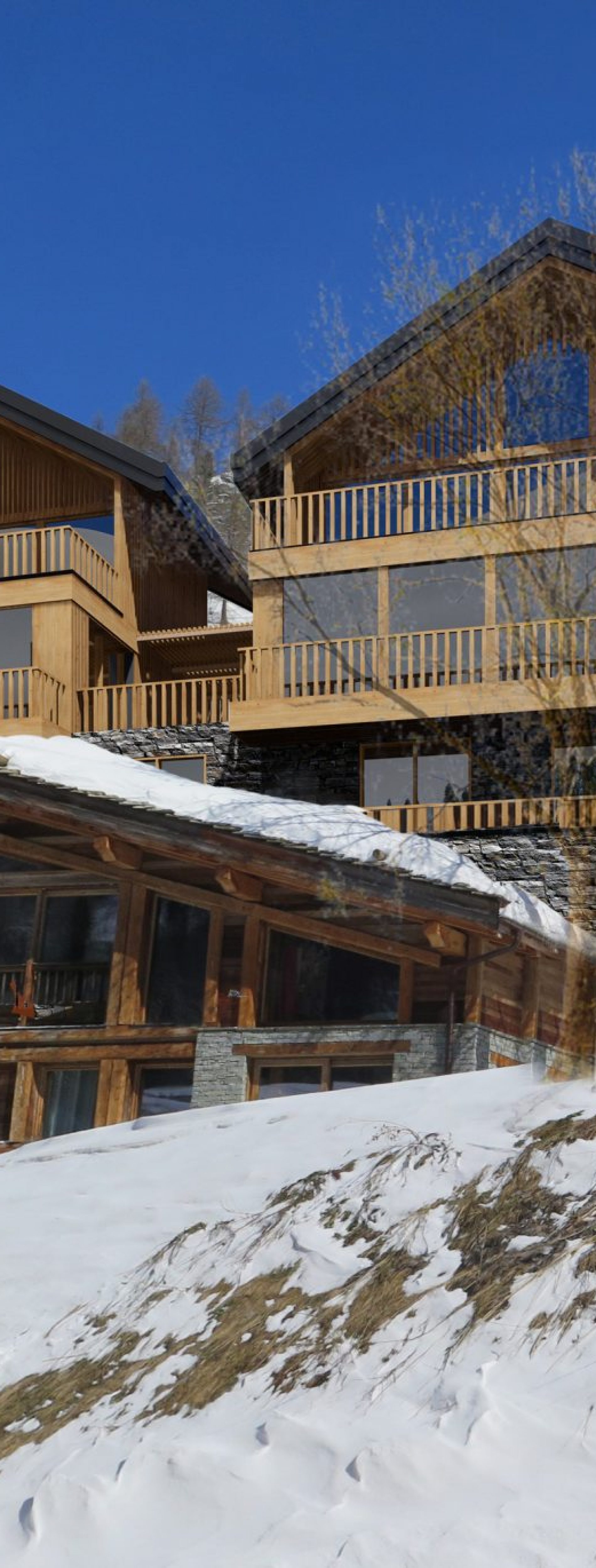 insertion paysagère Hôtel chalet